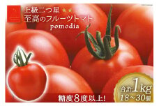 上級 二つ星 至高のフルーツトマト pomodia ポモディア 約1kg（18～30個） [農事組合法人 た・から 山梨県 中央市 21470256] トマト とまと フルーツ 野菜 やさい 1キロ 数量限定 期間限定【2025年10月下旬-2026年2月上旬発送予定】