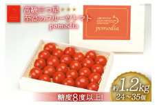 高級 三つ星 至高のフルーツトマト pomodia ポモディア 約1.2kg（24～35個）  [農事組合法人 た・から 山梨県 中央市 21470257] トマト とまと フルーツ 野菜 やさい 1キロ 数量限定 期間限定【2025年10月下旬-2026年2月上旬発送予定】