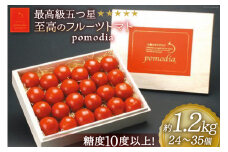 最高級 五つ星 至高のフルーツトマト pomodia ポモディア 約1.2kg（24～35個） [農事組合法人 た・から 山梨県 中央市 21470258] トマト とまと フルーツ 野菜 やさい 1キロ 数量限定 期間限定【2025年10月下旬-2026年2月上旬発送予定】