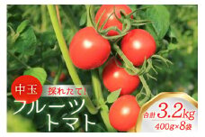 【期間限定発送】新鮮！中玉フルーツトマト400g×8袋 山梨県中央市より、採れたてを発送 [農事組合法人 た・から 山梨県 中央市 21471022] とまと トマト フルーツトマト 中玉トマト 野菜 やさい フレッシュ 新鮮 採れたて 産地直送 数量限定 期間限定【2025年10月下旬-2026年2月上旬発送予定】
