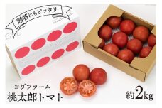 【2026年発送】 春作 トマト 桃太郎 約2kg [ヨダファーム 山梨県 中央市 21470974] とまと 野菜 やさい 2キロ 季節限定 期間限定 産地直送 山梨県産 【2026年4月上旬-6月下旬発送予定】