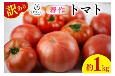 【2026年発送】 春作 訳あり 桃太郎トマト 約1kg [ヨダファーム 山梨県 中央市 21470965] 規格外 家庭用 不揃い トマト とまと 野菜 やさい 1キロ 季節限定 期間限定 産地直送 山梨県産 訳アリ tomato 【2026年4月上旬-6月下旬発送予定】