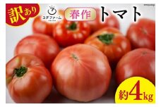 【2026年発送】 春作 訳あり 桃太郎トマト 約4kg [ヨダファーム 山梨県 中央市 21470975] 規格外 家庭用 不揃い トマト とまと 野菜 やさい 4キロ 季節限定 期間限定 産地直送 山梨県産 訳アリ tomato 【2026年4月上旬-6月下旬発送予定】