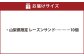 【シャトレーゼ】山梨県限定 レーズンサンド 10個