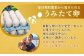 【シャトレーゼ】ふっくら シュー アイス（バニラ）【個包装】18個入