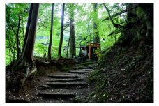 囲炉裏付き古民家に泊まり、登山ガイドと霊峰・七面山に登ろう！（宿泊体験チケット2名様分）