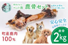 早川ジビエペット用鹿骨セット