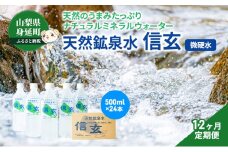 【12ヶ月定期便】天然鉱泉水「信玄」ナチュラルミネラルウォーター500ml × 24本入 [№5530-0175]