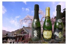 山梨の「山の酒」3酒蔵のスパークリング日本酒飲み比べセット[№5530-0241]
