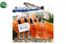 「富士の介」丸ごと一本セット[№5530-0248]