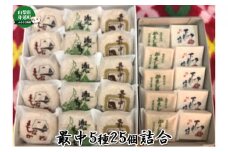最中5種25個詰合せ　かくし最中（5個）下部の宿（5個）・兜最中（5個）・湯の花（5個）・小町（5個）[№5530-0264]
