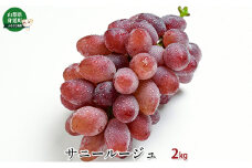 サニールージュ約2kg[№5530-0307]