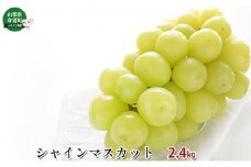 シャインマスカット約2.4kg[№5530-0309]