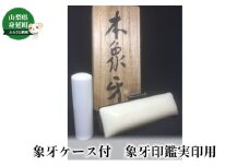 象牙ケース付　象牙印鑑実印用[№5530-0347]