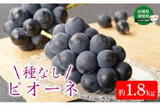 令和5年発送　種無しピオーネ　約1.8kg　3～4房[№5530-0359]