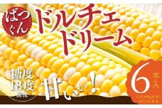 【市川三郷町共通返礼品】ドルチェドリーム 6本入り【2025年6月上旬から発送】REGALO[№5530-0396]