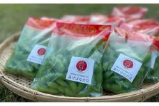 あけぼの大豆の枝豆 1.25kg えだまめ 豆 野菜 豆類 おつまみ 特産 山梨 身延町 [№5530-0404]