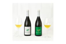 プレミアムティー「甲斐のきらめき」720ml2本セット【1348572】