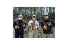里山研究会の生タケノコ(4kg～5kg)【1356853】