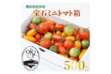 ＜カピオトマト＞旬のおまかせ宝石ミニトマト箱 500g【1460248】