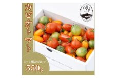 カピオトマトセレクト Mサイズ(おまかせ2～3品種の詰め合わせ550g)【1460248】