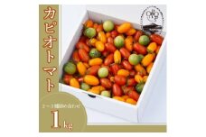 カピオトマトセレクトLサイズ(おまかせ2～3品種の詰め合わせ1kg)【1460268】