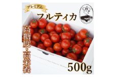 ＜カピオトマト＞プレミアムフルティカ Mサイズ 500g【1462661】