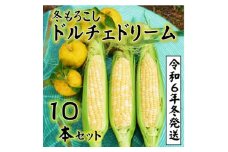 ＜令和6年11月～発送分受付＞朝採り「冬もろこし」!「ドルチェドリーム」10本セット(約5キロ)【1467652】