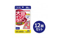 DHC 大豆イソフラボン 吸収型 30日分 12個セット(360日分)【1499700】