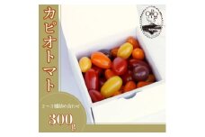 カピオトマトセレクトSサイズ(おまかせ2～3品種の詰め合わせ300g)【1583770】