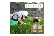 令和7年産＜新茶＞プレミアムリーフティー「甲斐のきらめき」(白鳥・天子)【1588783】