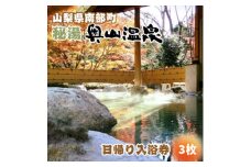 山梨県南部町秘湯「奥山温泉」日帰り入浴券(1名様分)＜3枚＞【1619539】