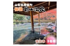 山梨県南部町秘湯「奥山温泉」宿泊券(1泊2食付き)3名様　10畳【1619599】