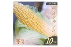 ＜山梨県南部町産＞朝採れゴールドラッシュ10本【1663448】