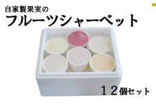 自家生産果実のフルーツシャーベット  12個セット　果物 くだもの 山梨 やまなし 富士川町