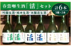 春鶯囀生酒蔵元直送「活」セット　300ml×6本セット （吟醸生酒2本/純米生酒2本/本醸造生酒2本） 吟醸生酒 純米生酒 本醸造生酒 ギフト 贈答 日本酒 お酒 地酒 清酒 銘酒 春鶯轉 富士川町 山梨 やまなし
