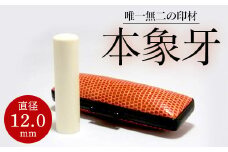 高級本象牙印鑑　12.0㎜×60.0㎜　はんこ ハンコ 実印 銀行印 認印 ケース付 オーダー ギフト プレゼント 贈答