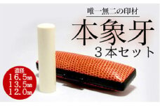 E408高級本象牙印鑑３本セット
