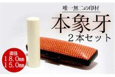 E410高級本象牙印鑑２本セット（男性向け）