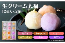 とろける食感！生クリーム大福24個セット （6種類×2×2箱）詰め合わせ  スイーツ お取り寄せ お土産 おもたせ プレゼント【全国菓子博・百貨店協会長賞受賞】