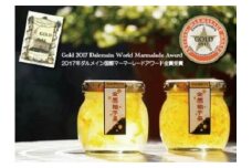 おうごんのくに金箔柚子茶2個セット（110g×2個）　ゆず 柚 ユズ 柚子 ゆず茶 ユズ茶 柚茶 金箔 特産品 ジャム 加工品 ゆずピール 柚ピール ユズピール 柚子ピール