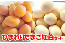  農林水産大臣賞受賞！ひまわりたまご 紅白セット（40〜45個）※破卵補償10個含（冷蔵） 卵 鶏卵 玉子 最短