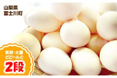B1808濃厚な味わい！ひまわりたまご（２段）※破卵補償10個含 卵 鶏卵 玉子