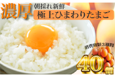 B1807極上ひまわりたまご（40個程度）※破卵補償10個含 卵 鶏卵 玉子