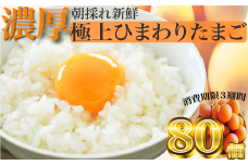 B1811極上ひまわりたまご（２段）※破卵補償10個含 卵 鶏卵 玉子