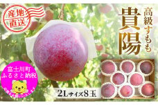 【2025年発送分 先行予約】貴陽（2L）８玉　すもも プラム スモモ 李 くだもの 果物 山梨 やまなし フルーツ 産地直送 富士川町