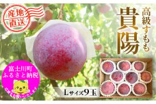 【2025年発送分 先行予約】貴陽（L）9玉　すもも プラム スモモ 李 くだもの 果物 やまなし 山梨フルーツ 産地直送 富士川町