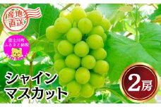 【2025年発送分】《JA厳選》 シャインマスカット 2房 （約1kg前後） フルーツ シャイン マスカット 山梨県産 果物 くだもの ぶどう ブドウ 葡萄 大粒 種なし  種無し 産地直送 先行予約 富士川町