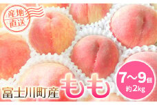 【7月中旬以降発送予定】フルーツ王国やまなし 桃 （7-9個 約2kg） もも 桃 産地直送 フルーツ くだもの やまなし 山梨   白鳳  産直 2kg 先行予約 2024年
