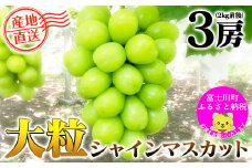 【2025年発送分 先行予約】＼＼農家直送！／／小林農園のシャインマスカット３房（2kg前後）　シャイン マスカット シャインマスカット ぶどう 葡萄 ブドウ 果物 くだもの フルーツ ２kg 大粒 産地直送 先行予約 先行受付 山梨 やまなし